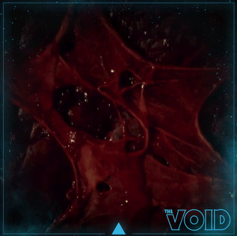 Void loop 1