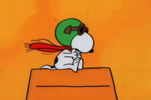 Peanuts GIFs - Get the best gif on GIFER