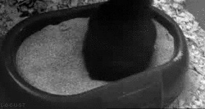 Naw Spiel Gif On Gifer By Bludconjuror