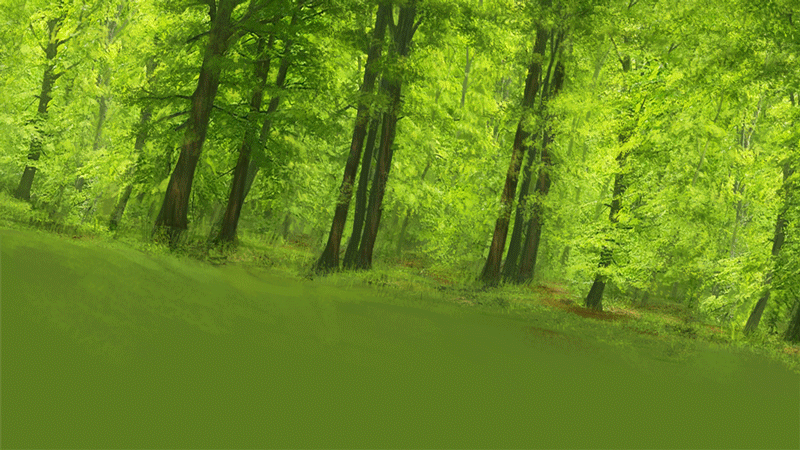 Forest GIF on GIFER - by Wrathfist