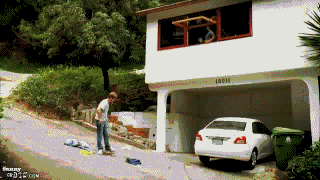 Bro code GIF on GIFER - by Samur