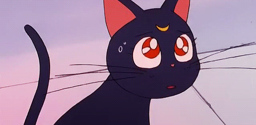 Gif Sailor Moon Anime Luna Animated Gif On Gifer By Aulore