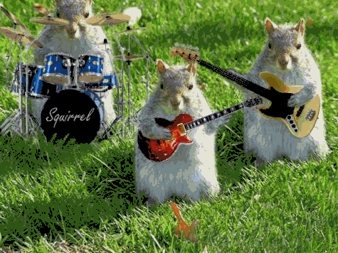 GIF rock - animated GIF on GIFER - by Nigda