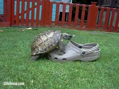 https://i.gifer.com/57j6.gif