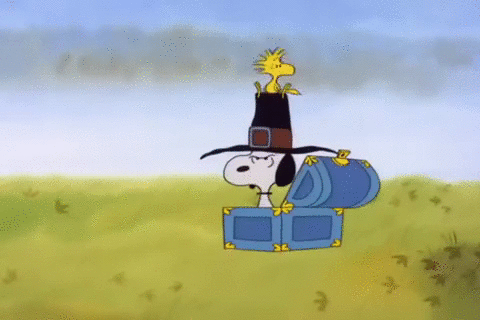 A Charlie Brown Thanksgiving Peanuts Thanksgiving Gif On Gifer By Kajibar