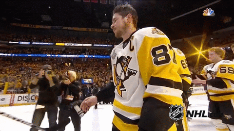 Stanley Cup Winning Shot GIF - NHL Hockey Stanley Cup Finals - Discover &  Share GIFs