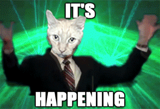 Image result for it's happening cat gif