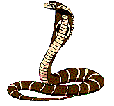 wrestler snake