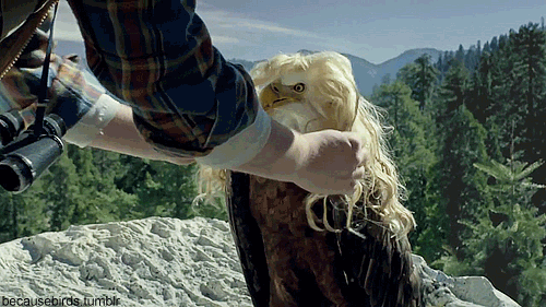 5DpL.gif