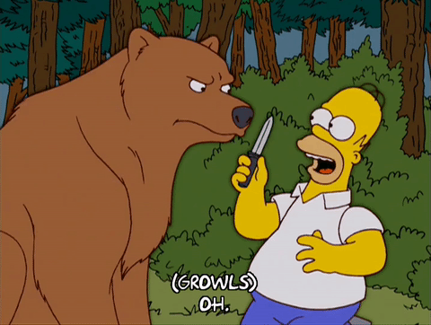 Homer simpson season 15 episode 5 GIF on GIFER , by Kelerus