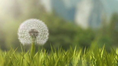 Hair blowing in the wind GIFs - Get the best gif on GIFER
