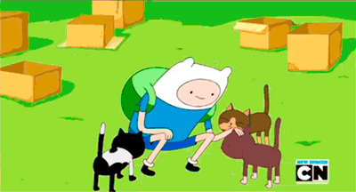 Adventure Time Finn The Human Cat Gif On Gifer - By Nalmeron