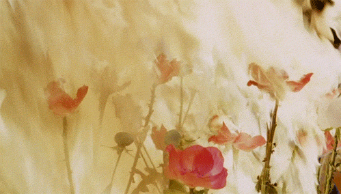 Riki Oh The Story Of Ricky Movie Flowers Gif On Gifer By Stonemaster