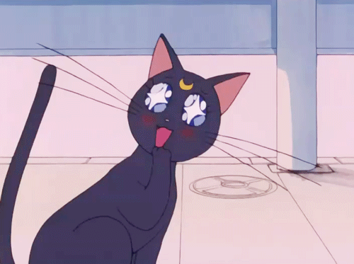 Gif Sailor Moon Cat Anime Animated Gif On Gifer By Redfury
