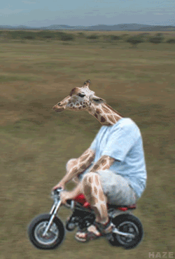 Bici Cake Gif On Gifer By Felhargas Bici Cake Gif On Gifer By Felhargas