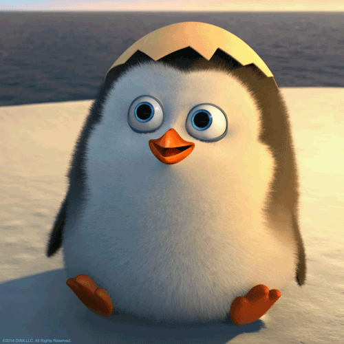 Малыш пингвиненок машет рукой в приветствии, gif анимация