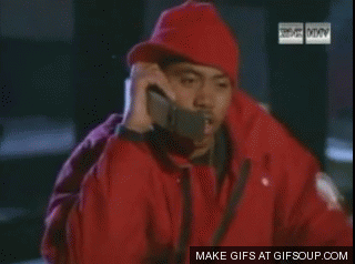 5dns.gif
