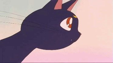 Anime Sailor Moon Luna Gif On Gifer By Moratus
