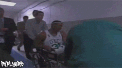 5iCI.gif