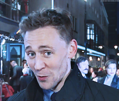 Tom hiddleston cat GIF on GIFER - by Molace