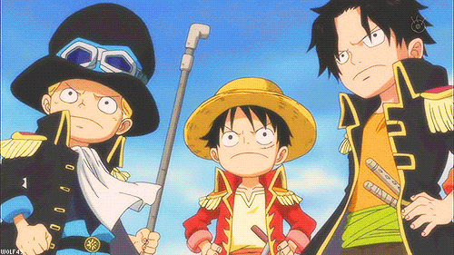 Luffy And Ace Gifs Get The Best Gif On Gifer