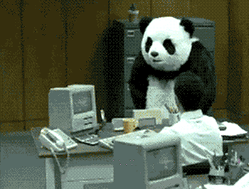 5qTn.gif