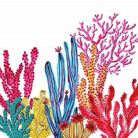 Водоросли гиф. Кораллы мультяшные. Водоросли. Водоросли рисунок. Растения подводные акварель.