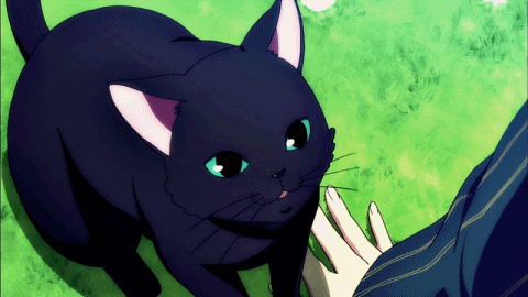 Manga Cat Chaton Gif Sur Gifer Par Anarim