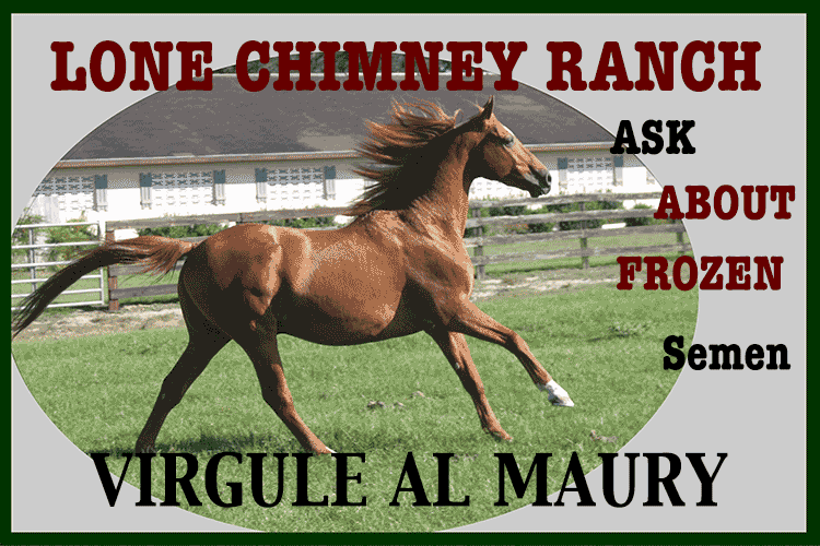 American pharoah GIF on GIFER by Nakasa