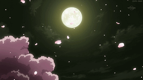 Sakura Trees! (Cherry Blossom Trees) | Anime Amino