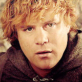 GIF movies the lord of the rings our - animated GIF on GIFER - by Mazubar
