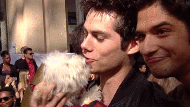 Ugh why typer posey teen wolf GIF sur GIFER - par Kathritius