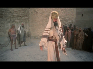 Image result for make gifs motion images of monty python 'alright i am the messiah!