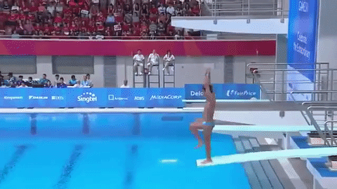 Olympic Diving Dive Swimming Gif On Gifer By Ghodar
