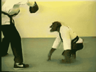 Martial arts monkey sports GIF on GIFER - by Mogami