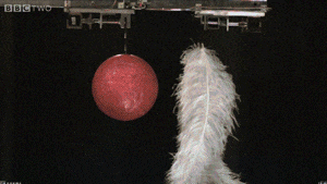 Science physics gravity GIF on GIFER - by Bragamand