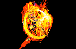 catching fire logo gif