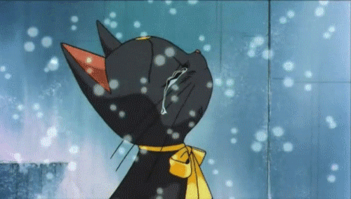 Anime black cat gif