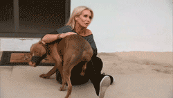 Hugidora, гифка, собака, ким ричардс, dog lover, гиф, gif, настоящие домохо...