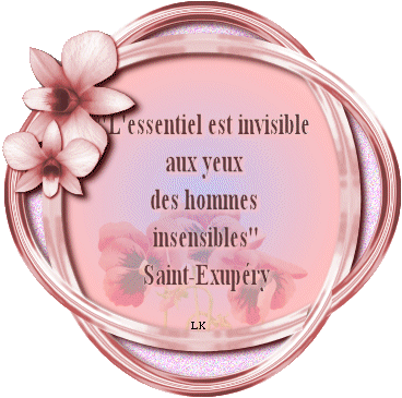GIF expressif phrase expression - GIF animée sur GIFER - par Flamebrand
