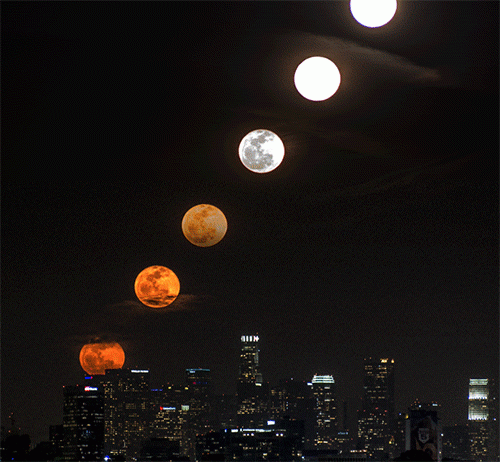6o6Q.gif