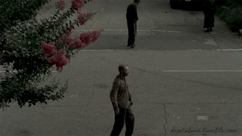 [Obrazek: 6xrt.gif]