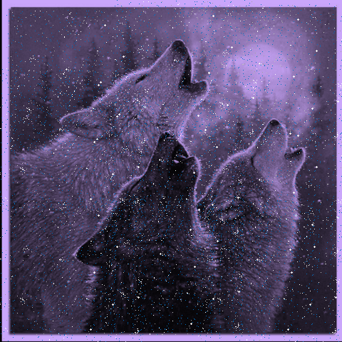 GIF on the moon wolfs - animated GIF on GIFER - by Spellfont