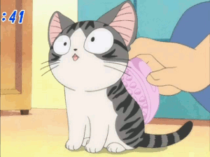 Natsume yuujinchou fat cat anime and funny anime cat gif anime 1204150 on  animeshercom