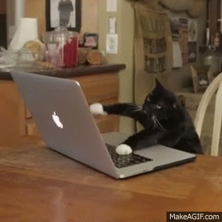 Hacker GIF - Find on GIFER