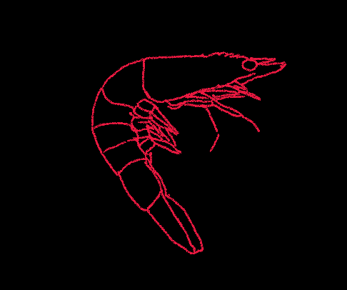 Prawn Animation Prawn animation art GIF - Find on GIFER