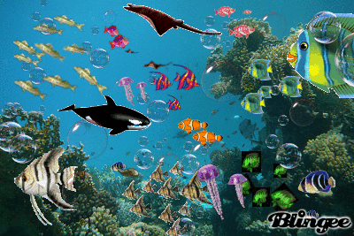 Stunning Aquarium Live Wallpaper - Serenity Underwater - free download