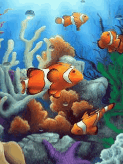 Free download Animated Fish Tank animated gif fish gif [500x315] for your  Desktop, Mobile & Tablet | Explore 33+ Moving Fish Bowl Wallpaper | Fish Desktop  Wallpaper Moving, Free Live Moving Fish