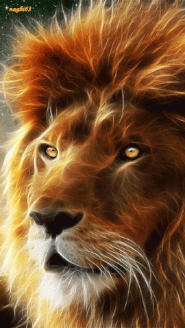 Top 32+ imagen imagenes de leones gif