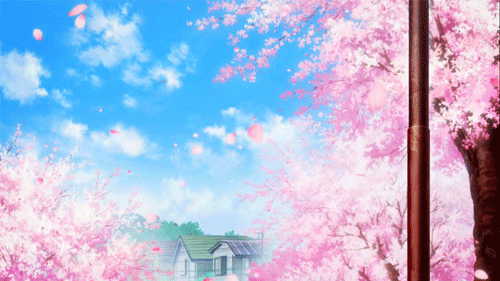 Asriel20Asi, Sakura~  Anime cherry blossom, Nature gif, Anime scenery